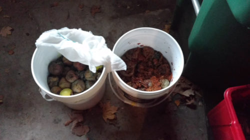 Two buckets of rotten apples